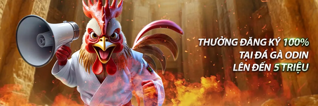 Tin tức VNQ8 mới nhất