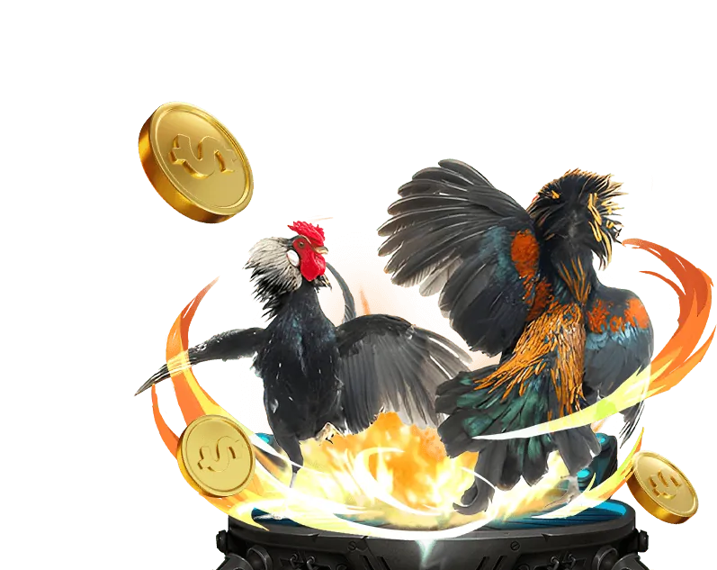 Cá cược thể thao vnq8