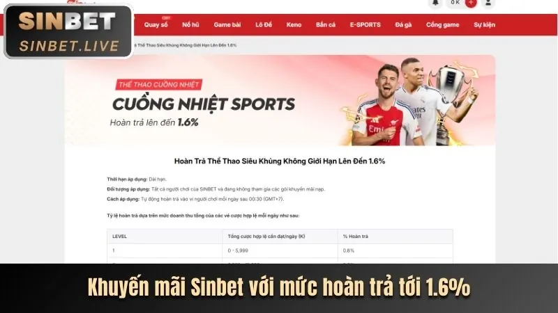 Hoàn trả thể thao và casino vnq8